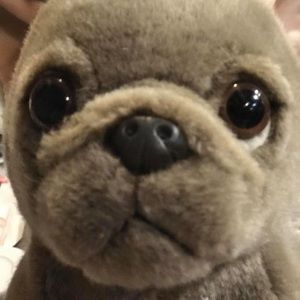 Meet your Posher, Mary